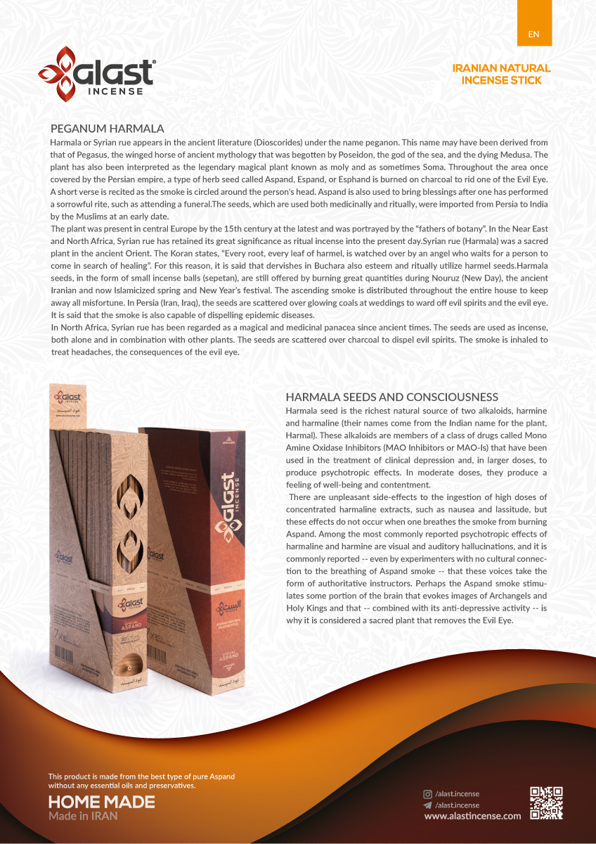 Brochure / Web Design