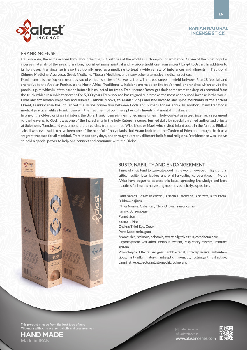 Brochure / Web Design