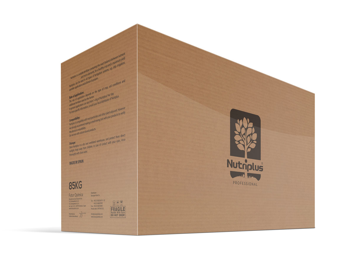 Packaging Design